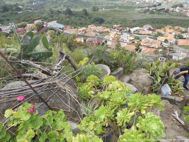 El Sauzal Terrain à bâtir dans un règlement attrayant a Tenerife