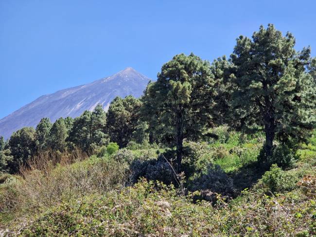 Propriété de 21.000 m² entourée par la nature